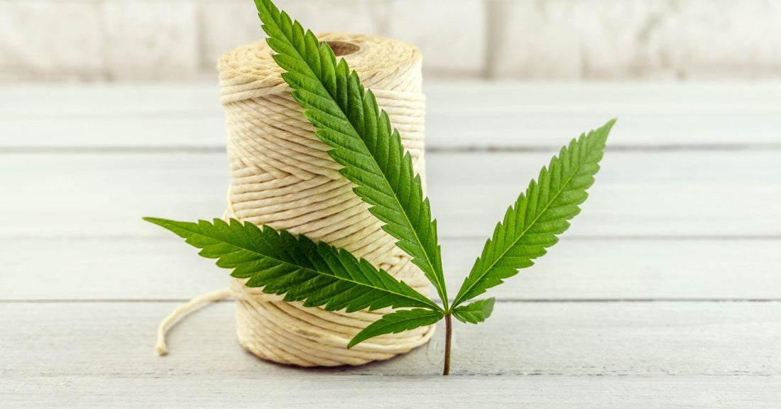 Chiloți menstruali: cânepă vs sintetice