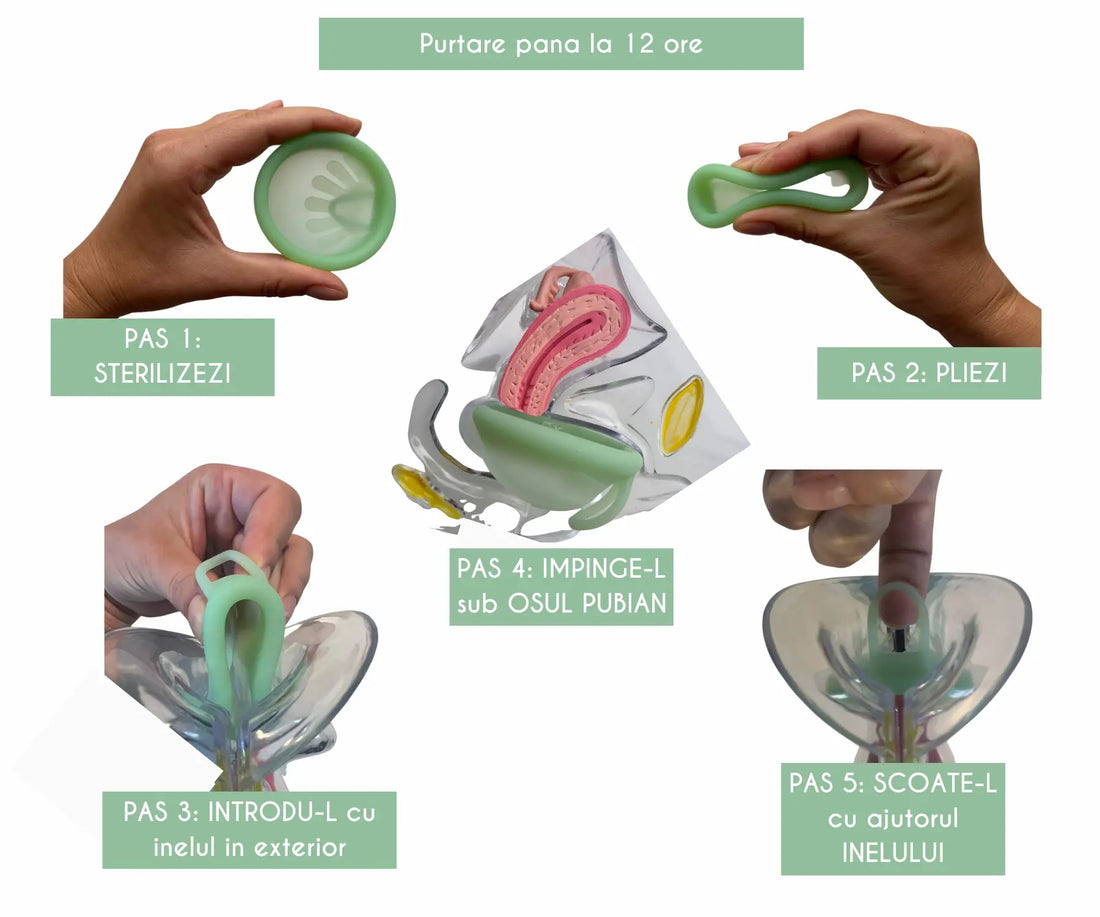 Ghid vizual cu 5 pași pentru folosirea discului menstrual Femi.Eko®: sterilizare, pliere, introducere cu inelul spre exterior, poziționare sub osul pubian și extragere ușoară cu ajutorul inelului. Purtare până la 12 ore.
