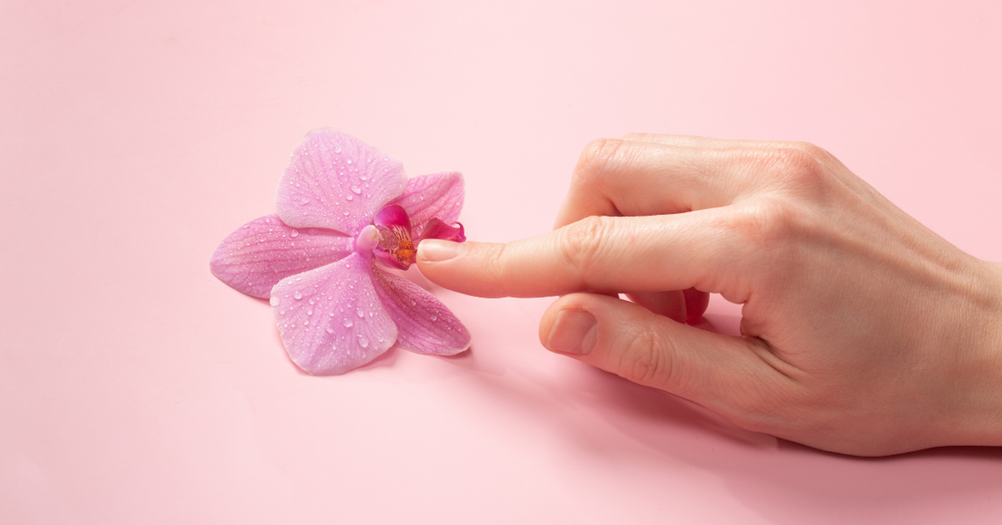 Clitoris: ce nu ți s-a spus despre cel mai important organ al plăcerii feminine