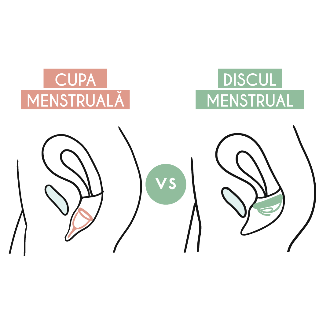 Comparație vizuală între cupa menstruală și discul menstrual – ilustrație anatomică ce arată poziționarea diferită a celor două produse reutilizabile în interiorul vaginului.