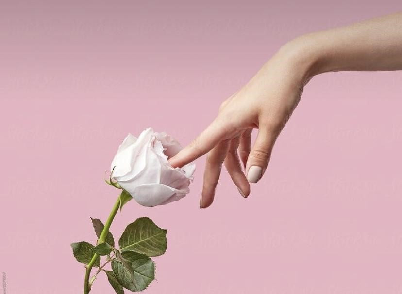 Mână feminină delicată atingând petalele unei trandafiri deschise pe fundal roz pastel, simbolizând intimitatea și gingășia.